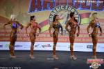 arnoldeuropeasta_40