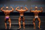 Men´s Junior Bodybuilding